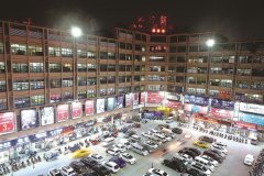 <b>奋怯抢先这一年：侨力磅礴涌新潮</b>