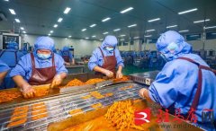 <b>西平县俏嘴巴：休闲食物加工产销旺</b>